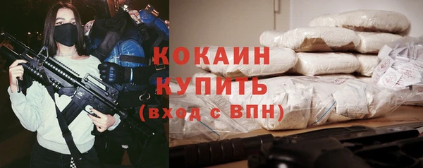 шишки Белоозёрский
