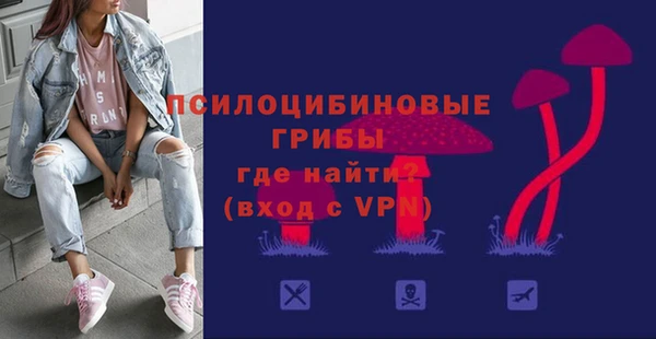 шишки Белоозёрский