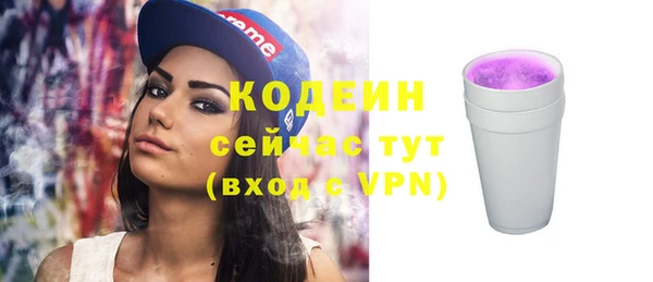 шишки Белоозёрский