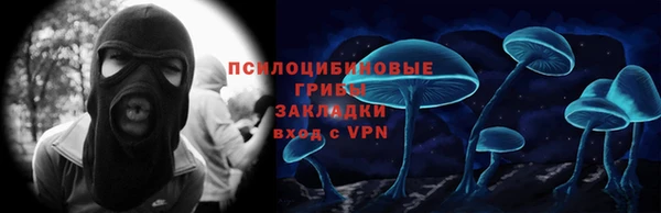 шишки Белоозёрский