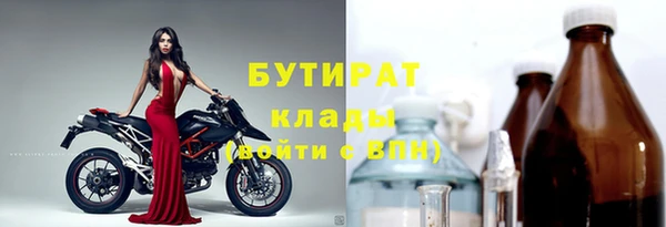 шишки Белоозёрский
