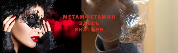 шишки Белоозёрский
