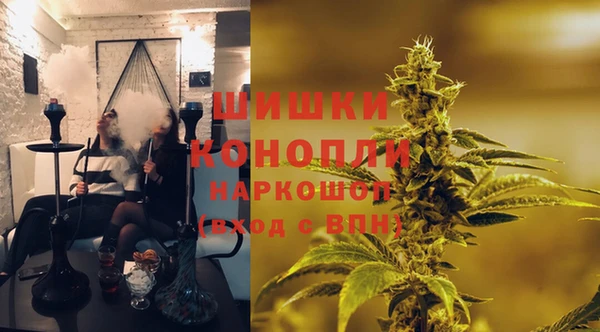 шишки Белоозёрский