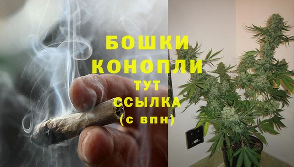 шишки Белоозёрский