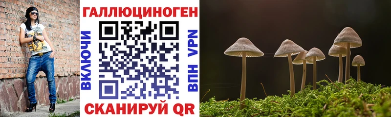 Псилоцибиновые грибы ЛСД Демидов